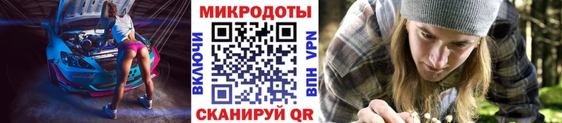 Псилоцибиновые грибы мицелий  купить наркоту  Южа 
