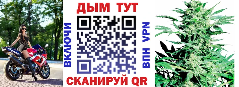 ссылка на мегу как войти  где можно купить наркотик  Южа  Конопля сатива 
